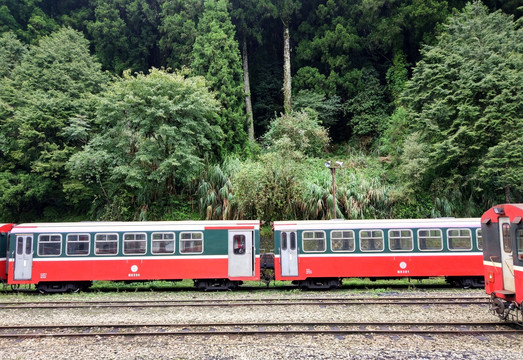 台湾阿里山火车