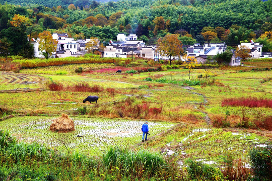 塔川秋色 高清