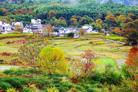 塔川秋色 高清大图