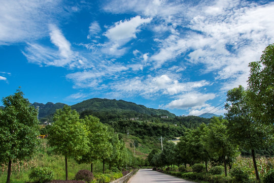 青山 公路