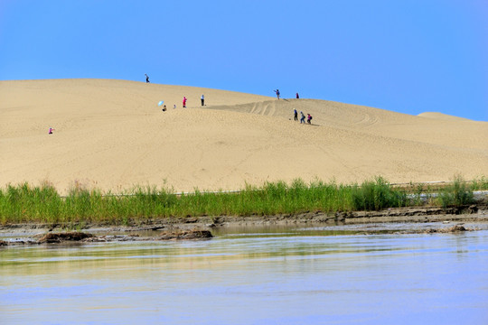 塔里木河 沙漠