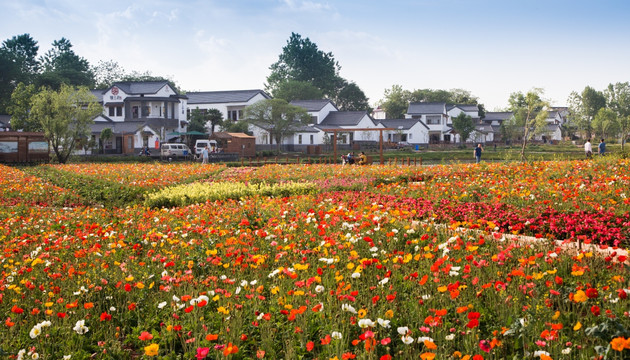 南京江宁谷里观音殿村