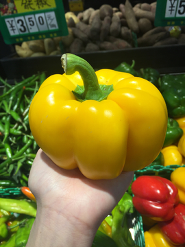 菜椒