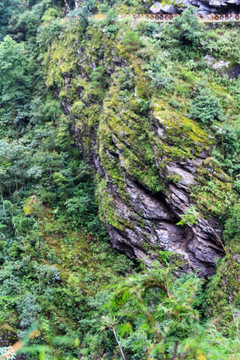 大理苍山风光 巨石