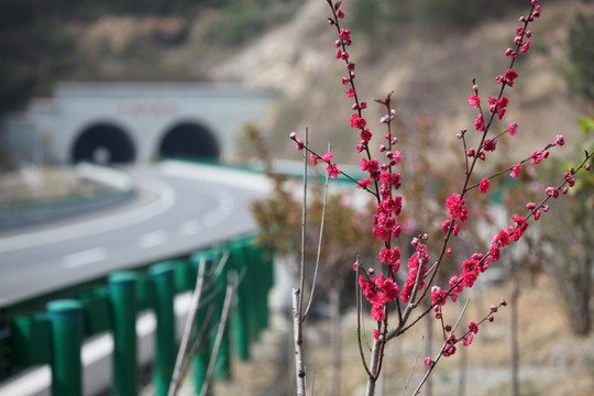 高速公路 公路 高速 六潜高速