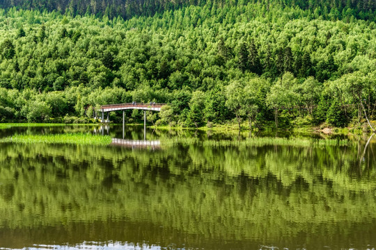 香格里拉属都湖