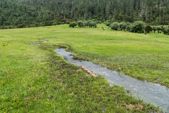 香格里拉碧塔海