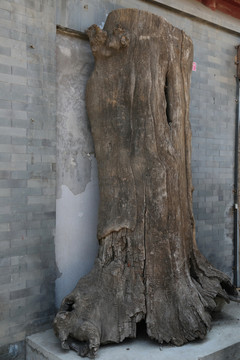 古代树干木雕原料