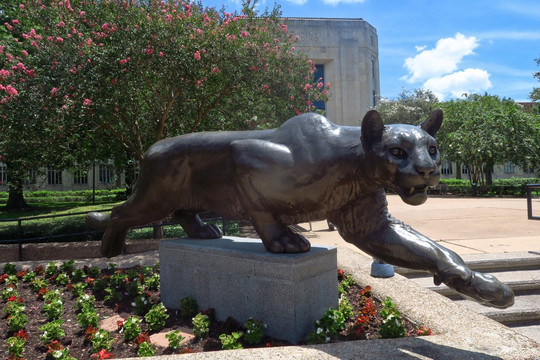 休斯顿大学 猎豹雕塑