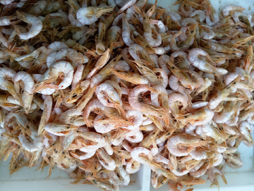 海鲜 海米 虾干