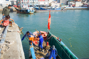 渔村 渔船码头 海鲜捕捞