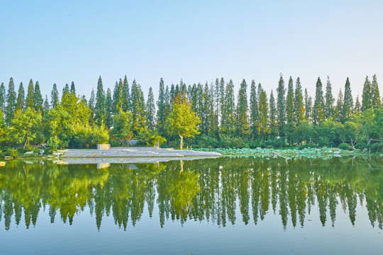 城市水景公园 邳州桃花岛公园