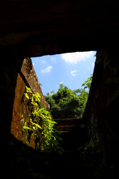 天井