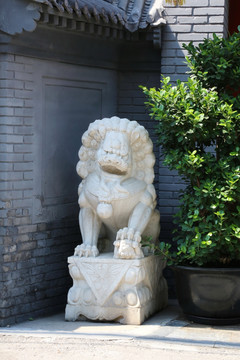 卷毛狮狮子石雕像