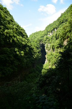 绥阳双河洞