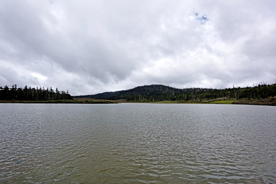 高原湖泊 碧沽天池