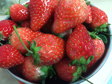 草莓 水果 果实 特写