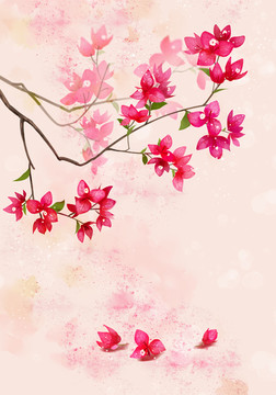水彩花卉 三角梅