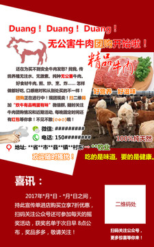 某某牧业精品牛肉进口牛肉宣传页