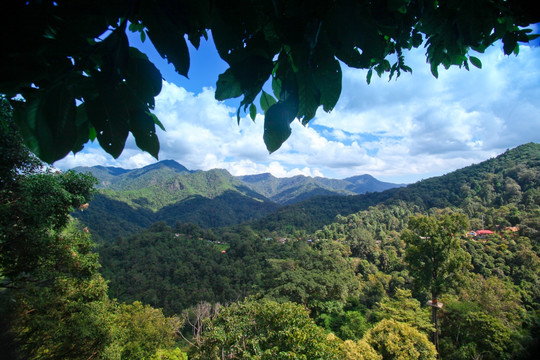 大山里的村落 大山里的村庄