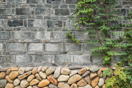 植物砖墙 老城墙 鹅卵石墙