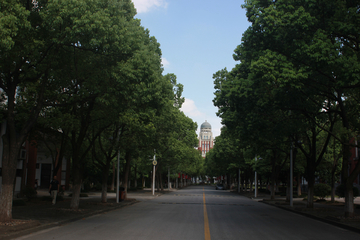 学校公路