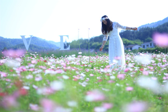 陶醉在格桑花海中