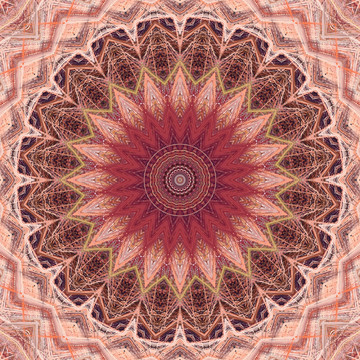 唯美花型花纹装饰画