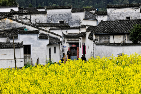 婺源