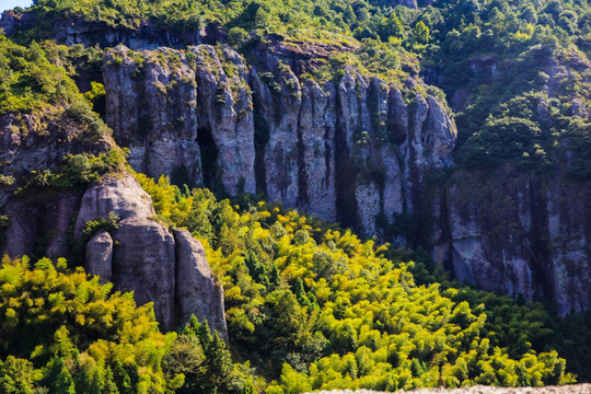 山峦绿树