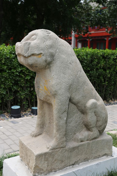 五塔寺石刻元代的石虎雕像