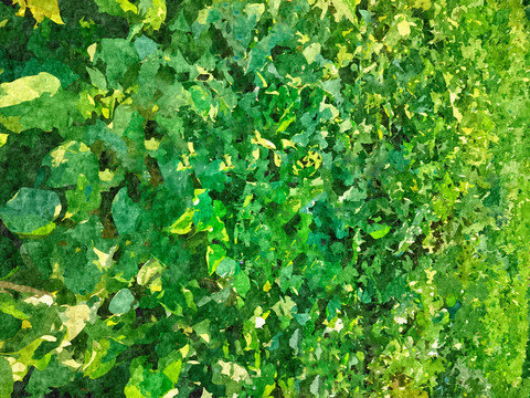 绿色抽象油画