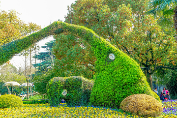 立体花坛 植物墙 花墙 植物艺