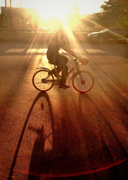 夕阳单车