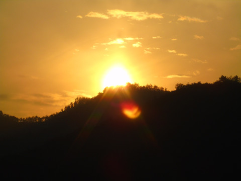 夕阳红