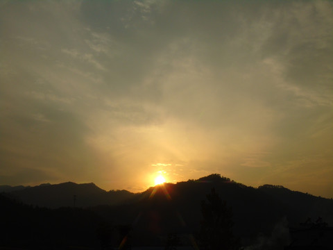夕阳红