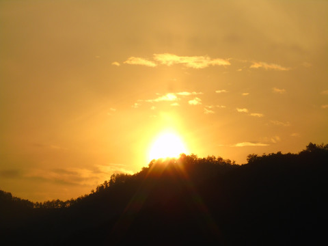 夕阳红