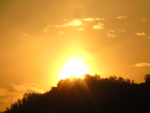 夕阳红
