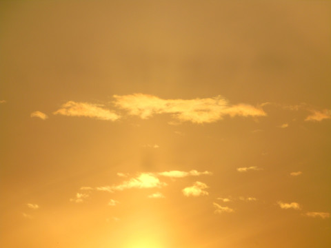 夕阳红