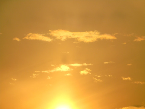 夕阳红