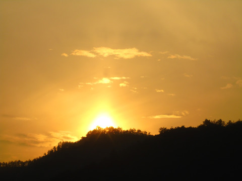 夕阳红