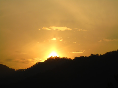 夕阳红