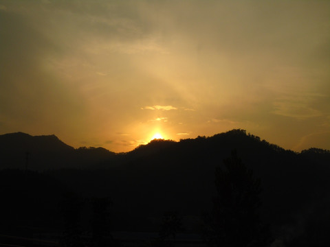 夕阳红