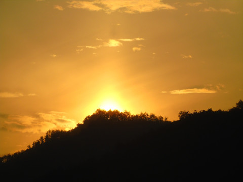 夕阳红