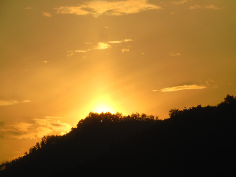 夕阳红