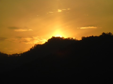 夕阳红