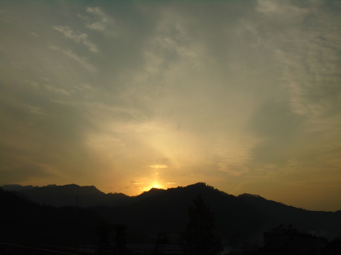 夕阳红