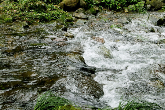 小溪泉水