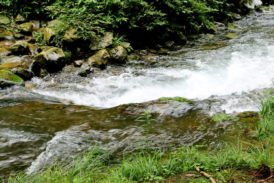 小溪泉水