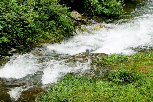 小溪泉水